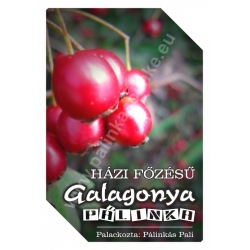 Galagonya pálinka címke - "FRUCTUS"